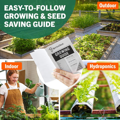 |15,000 Heirloom Seeds | 32 Seed Types | Survival Seeds | 2026 Season | Non GMO Vegetable and Fruit Seeds | Planting Outdoor & Indoor Garden